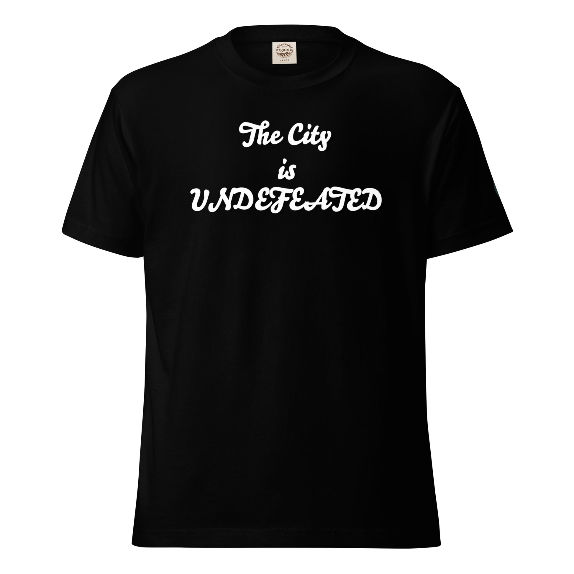 modrn Mavrks UDEFEATED CITY Lightweight cotton t-shirt image 7